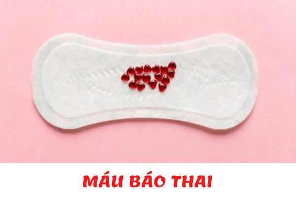 Chi phí chữa nam khoa năm 2022 bao nhiêu? Nên thăm khám nam khoa ở đâu uy tín?