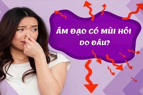 Lý giải nguyên nhân âm đạo có mùi hôi – Cách điều trị hiệu quả