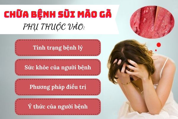 Benh-sui-mao-ga-co-chua-duoc-khong-2