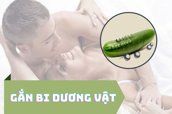 Gắn bi dương vậy là gì? Lợi ích của gắn bi dương vật