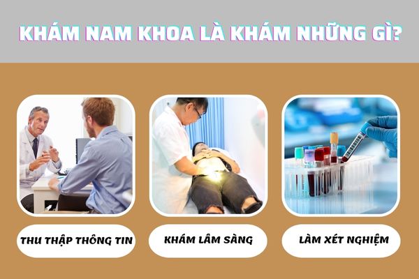 Khám nam khoa bao gồm nhiều hạng mục khác nhau