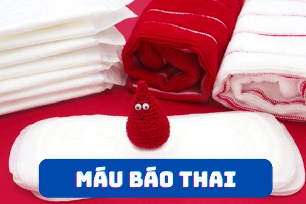 Máu báo thai và một số thông tin liên quan cần nắm rõ