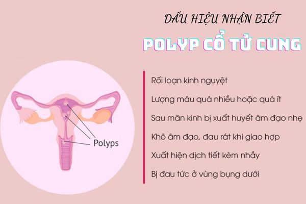 Đau dái cảnh báo bệnh lý nghiêm trọng nào?