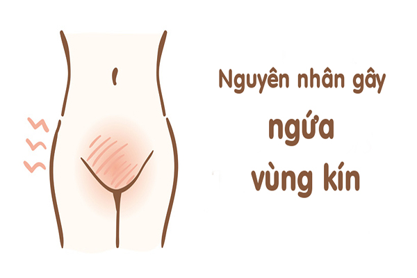 Ngứa vùng kín – Dấu hiệu của những bệnh lý không thể coi thường