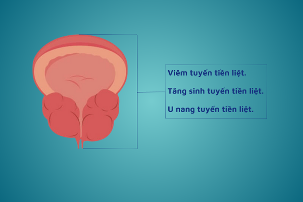 Diem-danh-cac-benh-duong-vat-pho-bien-hien-nay-6