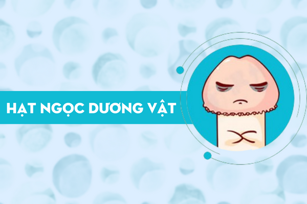 Hạt ngọc dương vật và sự thật cần biết