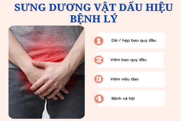 Sưng dương vật – Triệu chứng không nên chủ quan