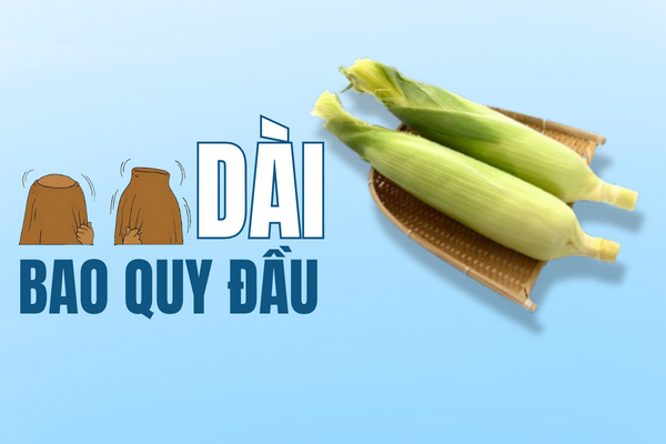 Dài bao quy đầu – Hội chứng đáng lo ngại nhưng bị bỏ qua.