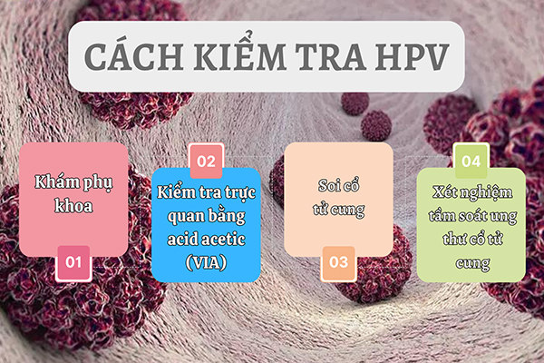 Kiểm tra HPV – Cách giúp tầm soát và phát hiện ung thư cổ tử cung sớm