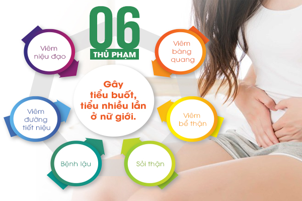 Tiểu nhiều ở nữ là do đâu?