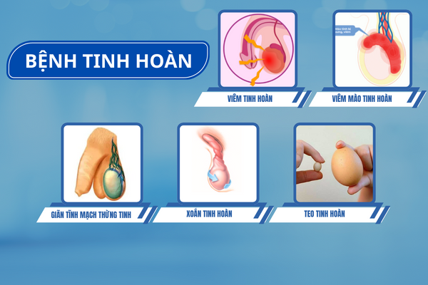 Cac-benh-o-duong-vat-nam-4