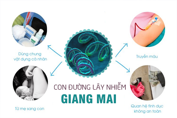 Nguyên nhân bệnh giang mai và dấu hiệu nhận biết sớm