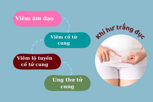 Khí hư trắng đục và những nguyên nhân bệnh lý