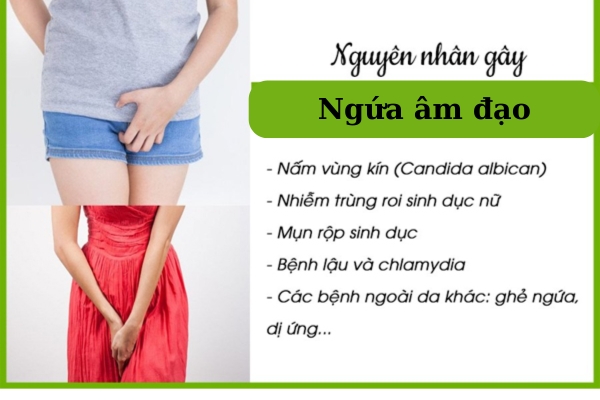 Ngứa âm đạo là dấu hiệu của bệnh gì?